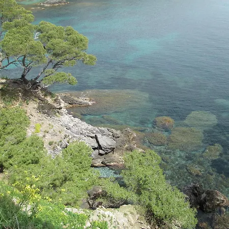 Hotel Ibis Styles Rooftop & Hyeres