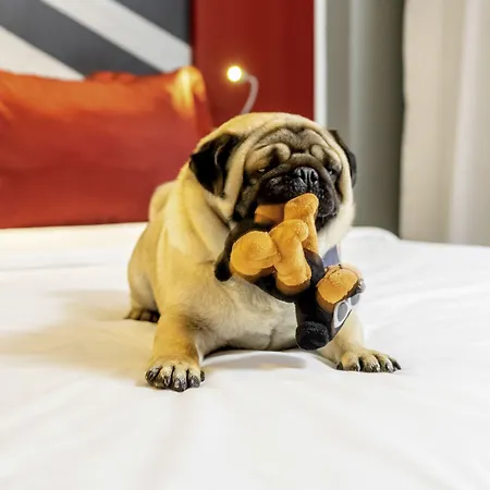 Ibis Styles Rooftop&spa 3* Hyères