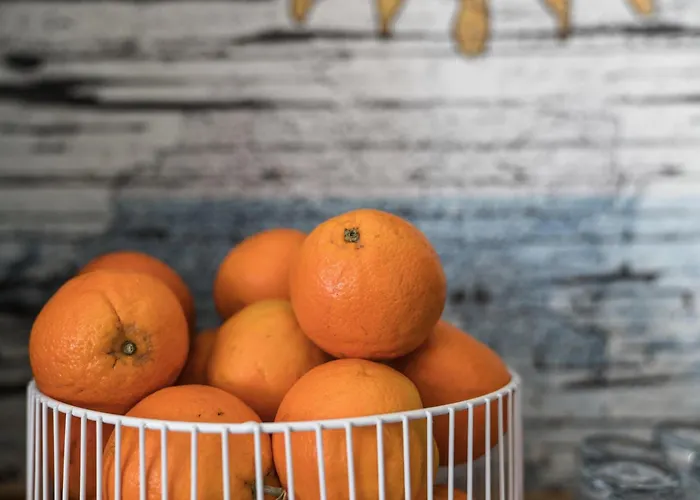 Ibis Styles Rooftop & Hotel Hyères