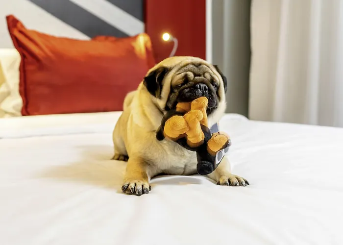 Ibis Styles Rooftop & 3* Hyères